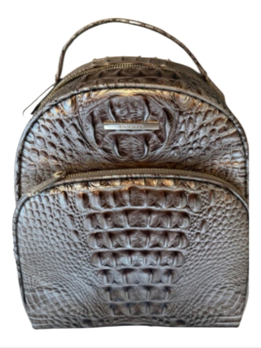 Brahmin Chelcy Leather Backpack In The Silver Lining Melbourne Colorway GUC